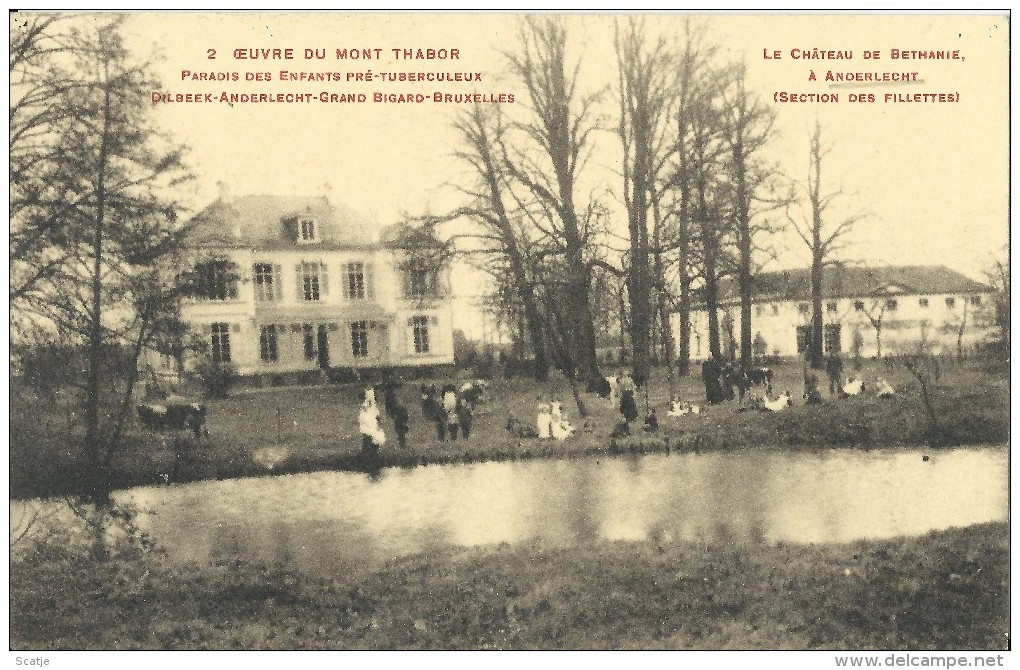 Souvenir D´Anderlecht   ;    Le Château De Bethanie   /   Coxyde-Bains - Anderlecht