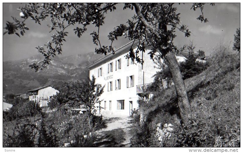 BRENTONICO - ALBERGO ZOLLER - FORMATO PICCOLO - C946 - Trento