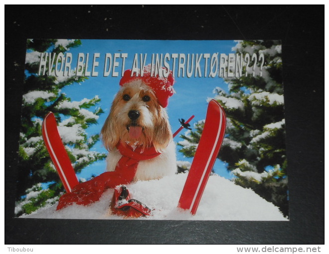 LETTRE NORVEGE NORGE NOREG NORWAY AVEC YT 1452 - TRAIN LOCOMOTIVE - PONT KYLLING - CHIEN DOG SKI - - Covers & Documents