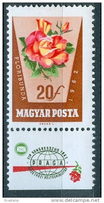 HUNGARY-1962.Roses 20fillér With Margin MNH!! - Nuevos