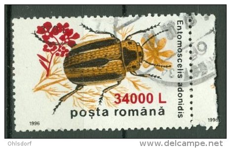 ROMANIA 2000: YT 4615 / Mi 5498, O - LIVRAISON GRATUITE A PARTIR DE 10 EUROS - Oblitérés
