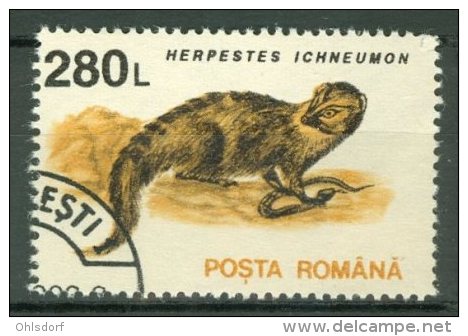 ROMANIA 1993: YT 4103 / Mi 4910, O - LIVRAISON GRATUITE A PARTIR DE 10 EUROS - Used Stamps