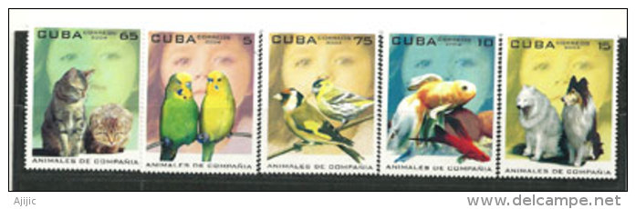 CUBA. Animaux De Compagnie. (chats,chiens,etc)  5   T-p Neufs **. Yv. Nr 4176/80 - Unused Stamps