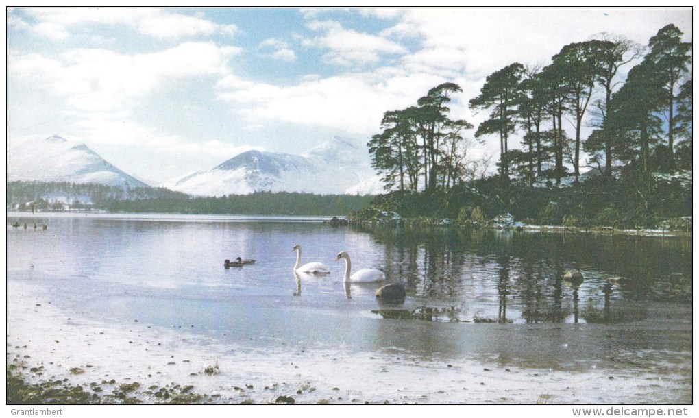 Friars Crag, With Causey Pike, Lakes District, Cumbria, England - Unused - Other & Unclassified