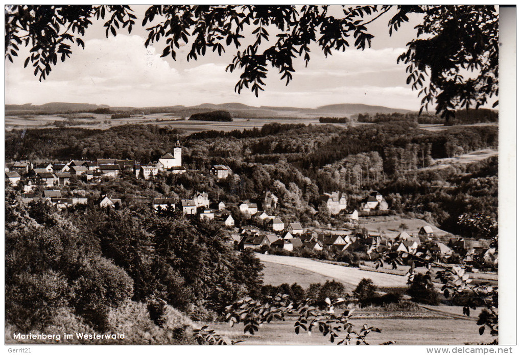 5439 BAD MARIENBERG, Ortsansicht, 1959 - Bad Marienberg