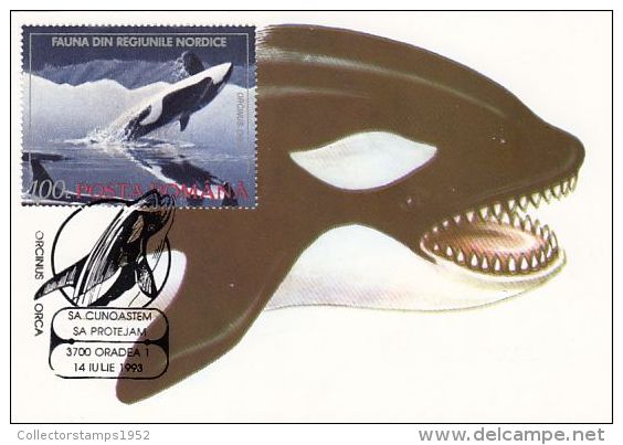 458- ORCA, KILLER WHALE, CARTES MAXIMUM, CM, MAXICARD, 1993, ROMANIA - Ballenas