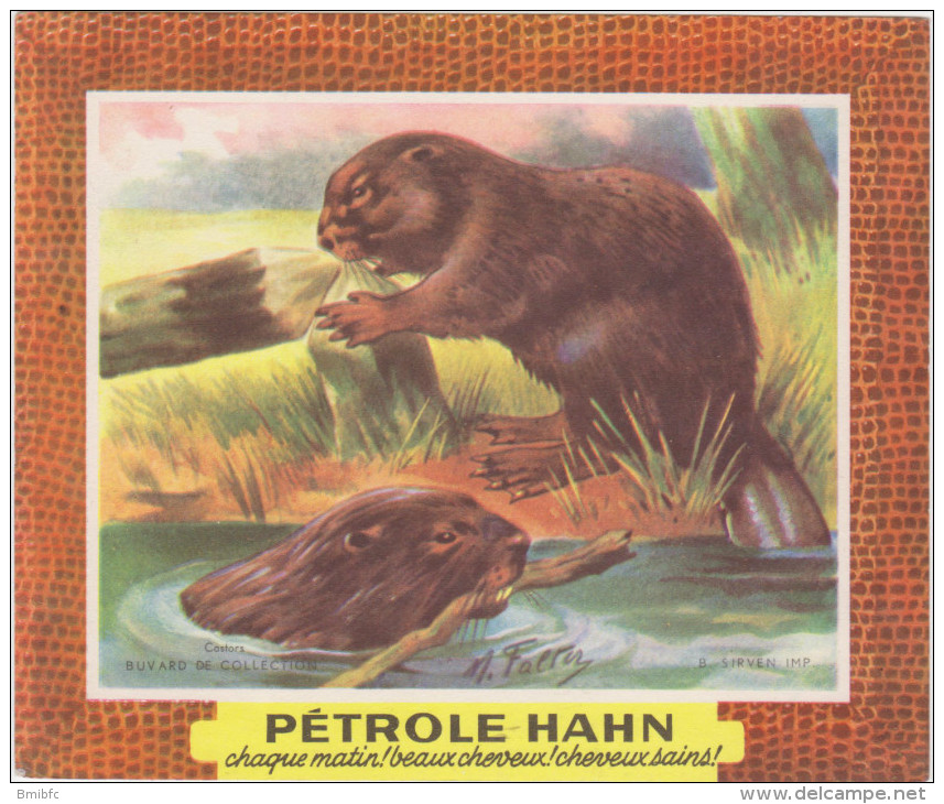 Pétrole HAHN -chaque Matin ! Beaux Cheveux ! Cheveux Sains !  Castors - Parfum & Cosmetica