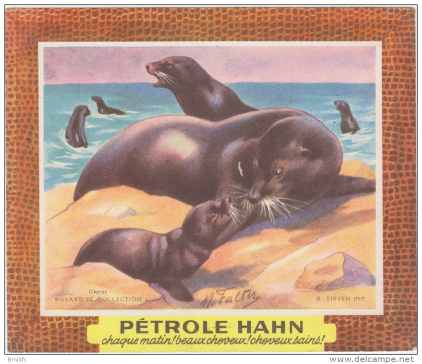 Pétrole HAHN -chaque Matin ! Beaux Cheveux ! Cheveux Sains !  Otaries - Parfum & Cosmetica