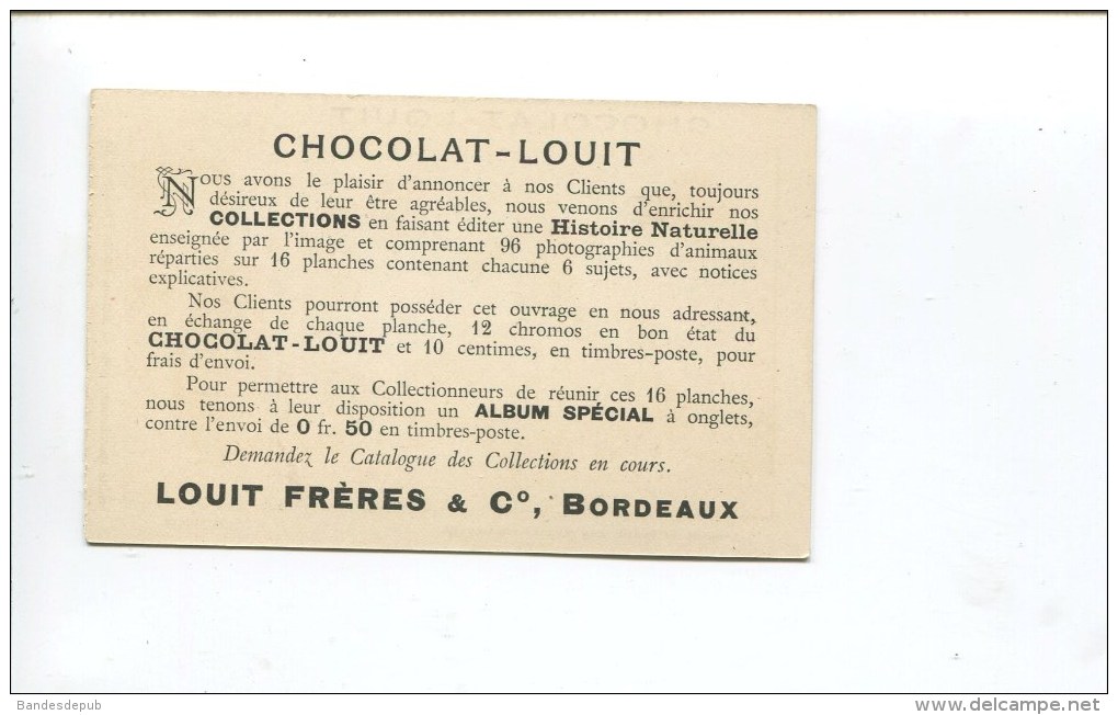 LOUIT CHROMO LANGAGE PIERRES PRECIEUSES BIJOUX MALACHITE  ESPERANCE NOTAIRE TESTAMENT HERITAGE HERITIER ONCLE - Louit