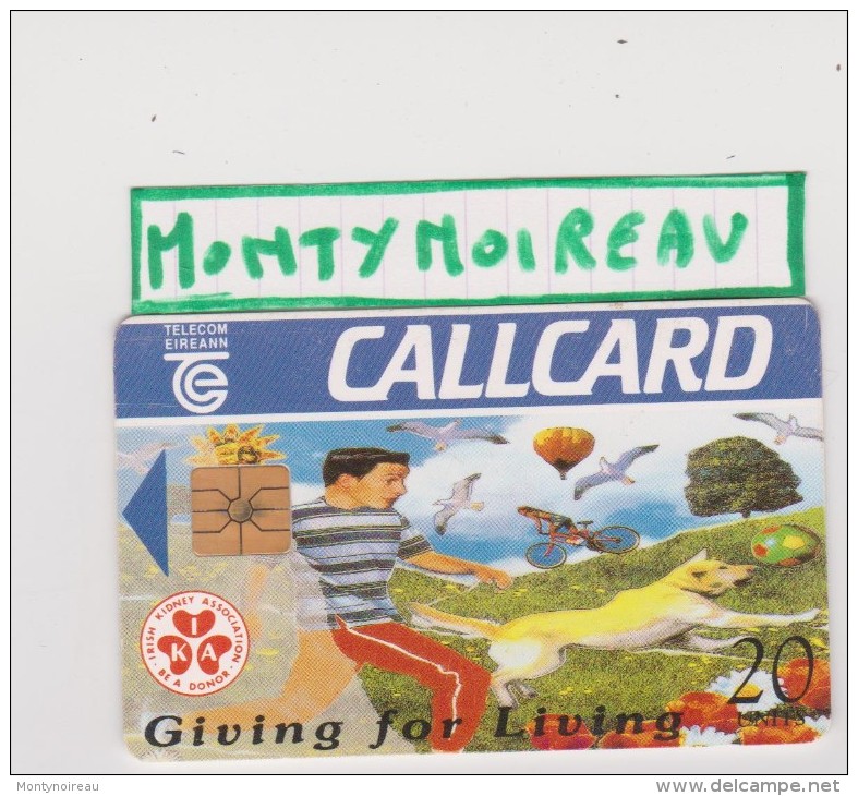 Télécarte  :  Irlande :  Callcard :   Giving  For  Living - Irlande