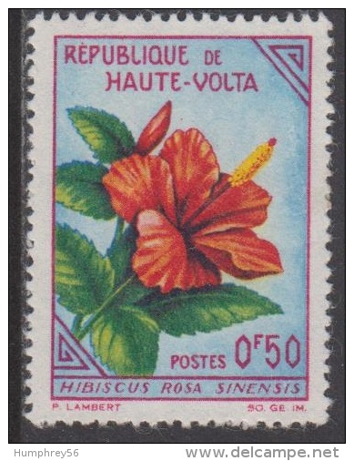 1963 - HAUTE-VOLTA - Y&T 113 [Hibiscus Rosa-sinensis](*/MH) - Obervolta (1958-1984)