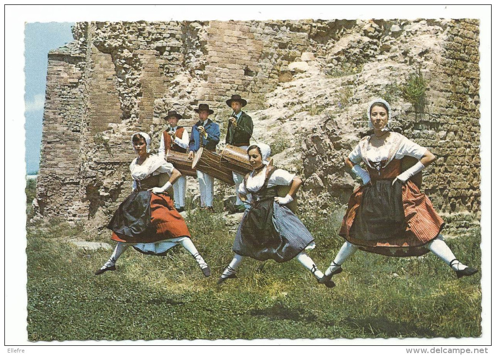 Fréjus, Folklore , " LA MIOUGRANO " Les Filles De Marbre " , Collection La Miougrano , Cpsm, Non Voyagée - Frejus