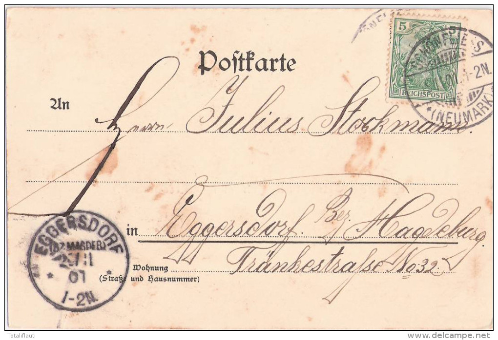 Gruss Aus Dem Moorbad Schönfliess Neumark Trzci&#324;sko Zdrój 15.11.1901 Gelaufen - Neumark