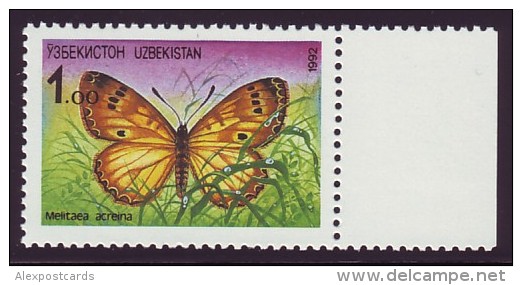 UZBEKISTAN 1992. BUTTERFLY Melitaea Acreina. Michel Nr. 2. MNH (**) - Ouzbékistan