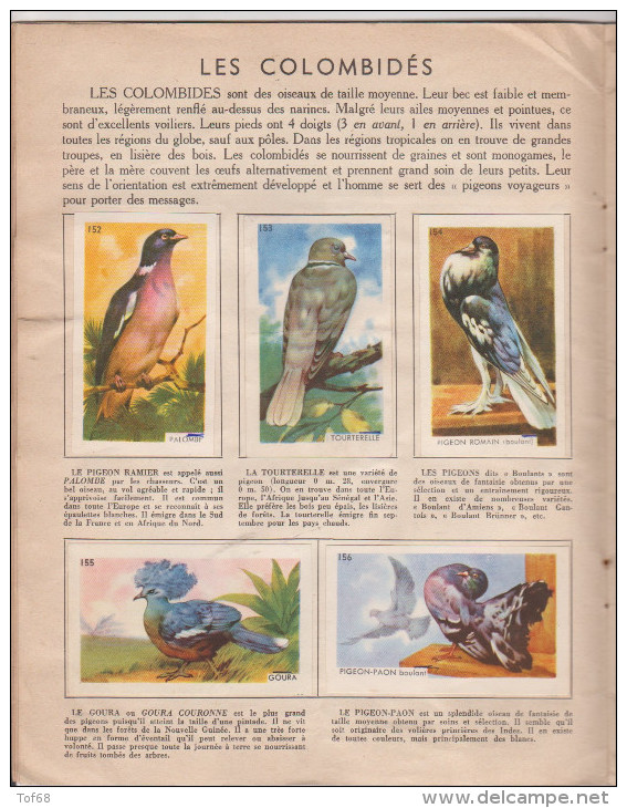 Album Francorusse N°2 Histoire Naturelle Simplifiée Avec 169 Images - Sammelbilderalben & Katalogue