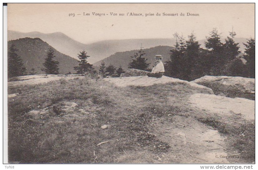 Les Vosges Vue Sur L'Alsace Prise Du Sommet Du Donon - Autres & Non Classés