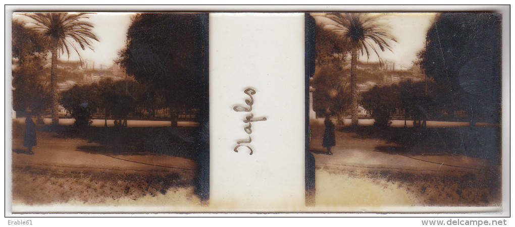 PHOTO STEREO SUR PLAQUE DE VERRE  VUE DE NAPLES NAPOLI - Diapositivas De Vidrio