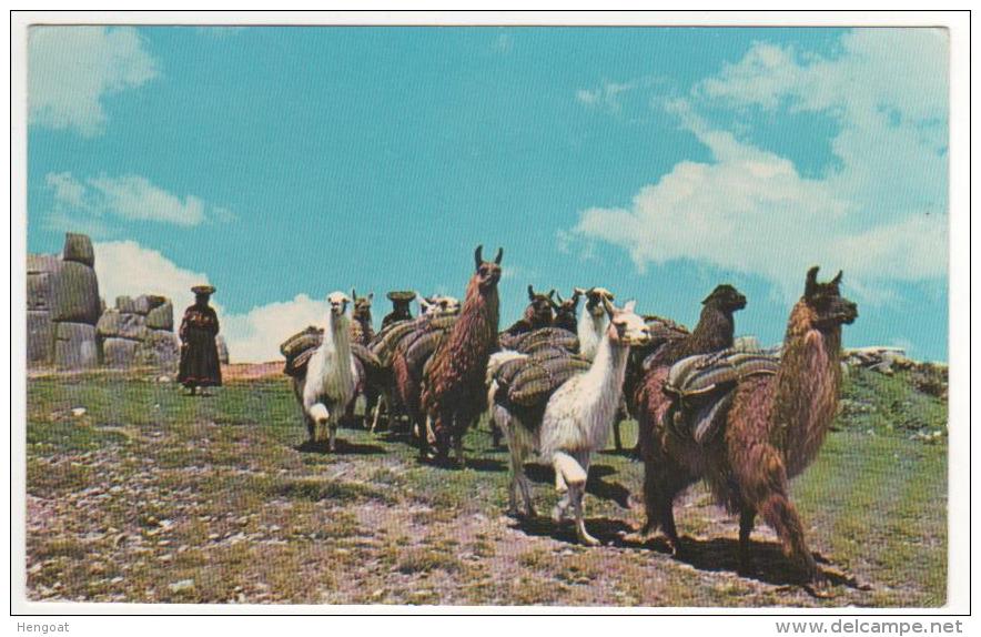 Beau  Timbre Poste Aérienne Yvert N° 246 / Carte , Postcard De 1968 ??  Pour La France - Perú