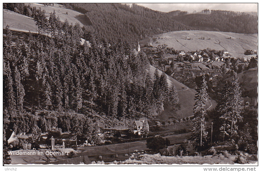 AK Wildemann Im Oberharz - 1961 (8612) - Wildemann