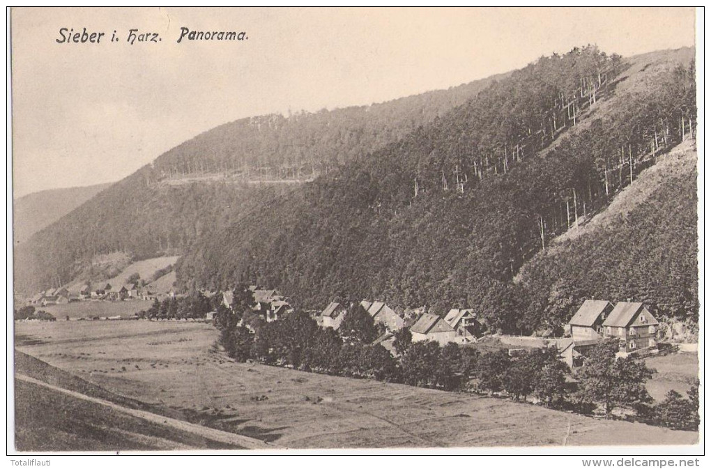 SIEBER Harz Osterode Panorama 30.9.1917 Nachgebühr Nachverwendete Karte Um 1905 Ungeteilte Rückseite - Osterode