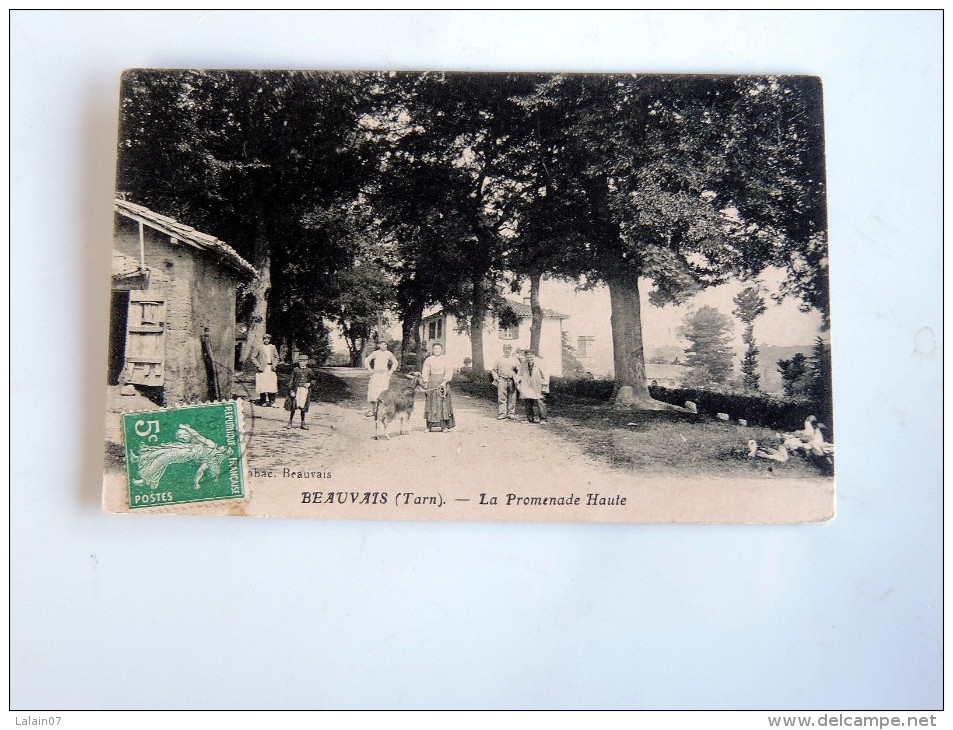 Carte Postale Ancienne : BEAUVAIS ( Tarn) : La Promenade Haute ,animé - Autres & Non Classés