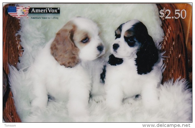 United States, SKU-23511, American Cocker Spaniels, Dogs, Only 600 Issued, 2 Scans. - Amerivox