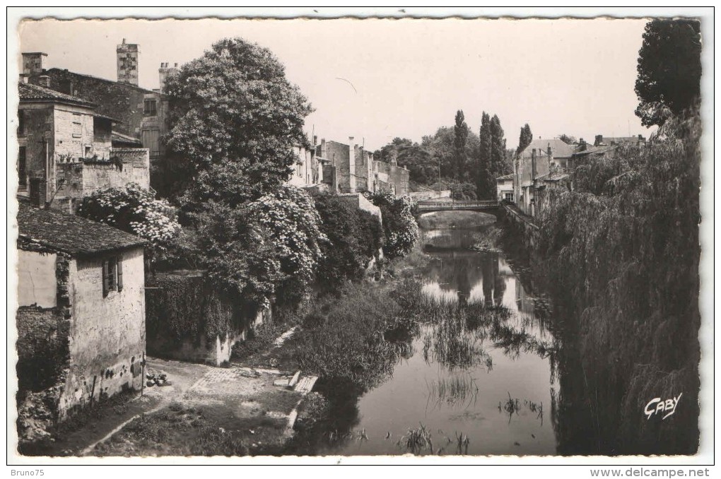 85 - FONTENAY-LE-COMTE - La Vendée Au Pont Des Sardines - Gaby 49 - Fontenay Le Comte