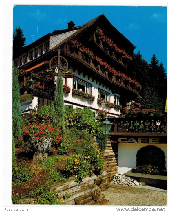 Allemagne - Hinterzarten Hotel Pension - Hinterzarten