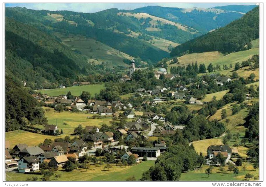 Allemagne - Munstertal Mit Blick Nach Kloster - Muenstertal