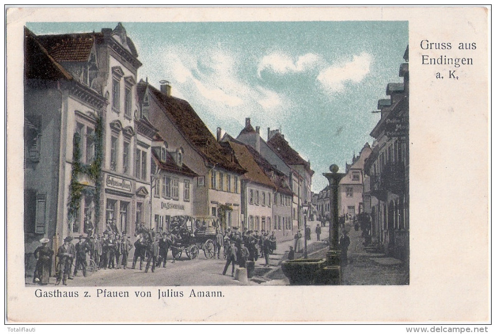 Gruss Aus Endingen Am Kaiserstuhl Gasthaus Zum Pfauen Belebt Kr Emmendingen Pferde Kutsche 22.7.1908 Gelaufen - Endingen