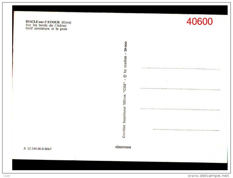 Riscle Sur L'adour Golg Miniature Et Le Pont - Riscle