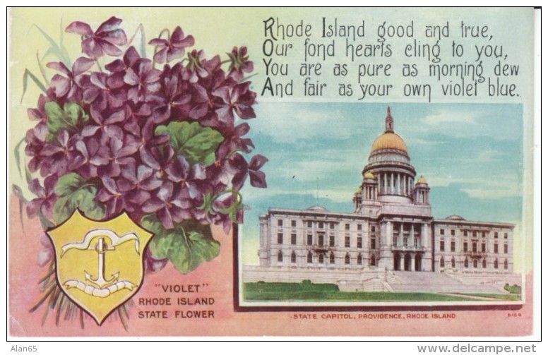 Providence Rhode Island, State Capitol Building, State Flower Violet, C1900s/10s Vintage Postcard - Providence