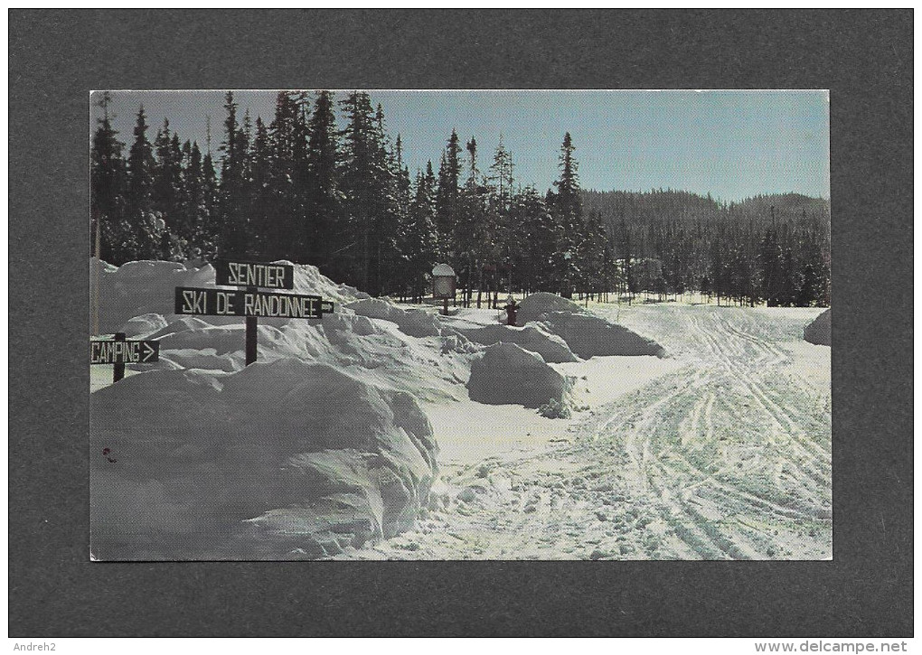 SPORTS D' HIVER - SKI - STONEHAM QUÉ. - SKI DE RANDONNÉE - PARC DES LAURENTIDES - PHOTO PIERRE GENDRON - Sports D'hiver