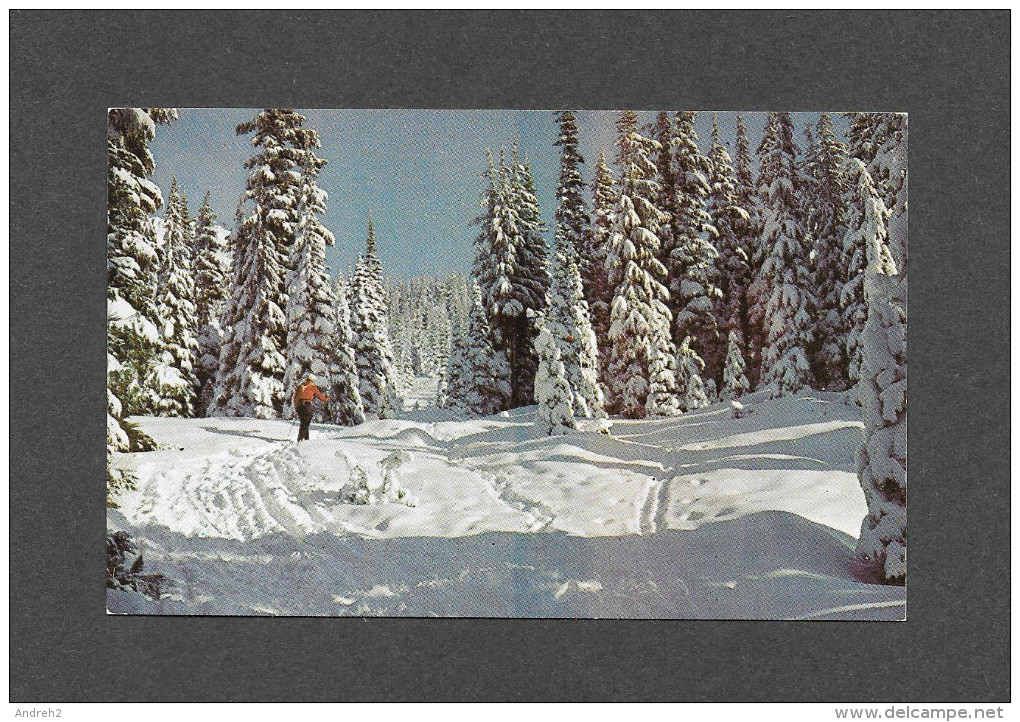 SPORTS D' HIVER - SKI - METIS BEACH Cté. MATANE - SKI DE RANDONNÉE - PUB. BENJAMIN NEWS - Sports D'hiver