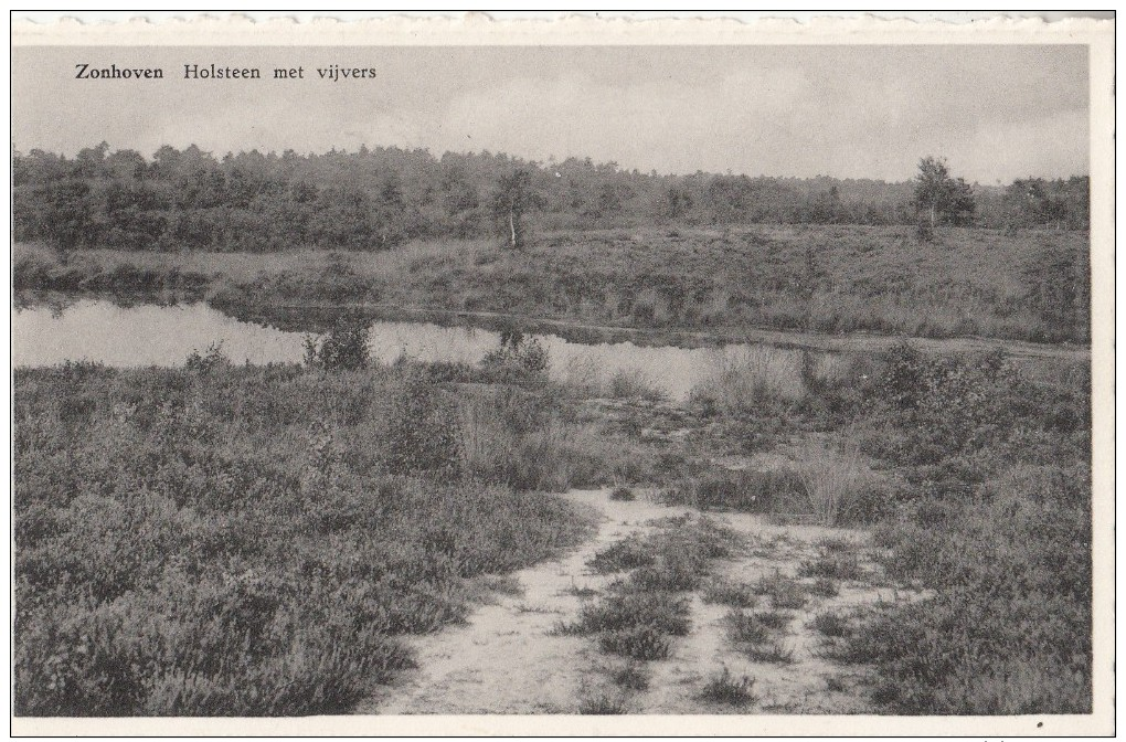 Zonhoven: Holsteen Met Vijvers.   (3846) - Zonhoven