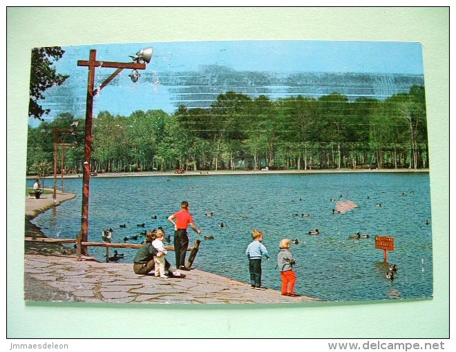 USA 1988 Postcard "Wild Duck Pond - Ridgewood" To England - Ducks - Fishing - Verville And Plane - Igor Stravinsky Mu... - Lettres & Documents