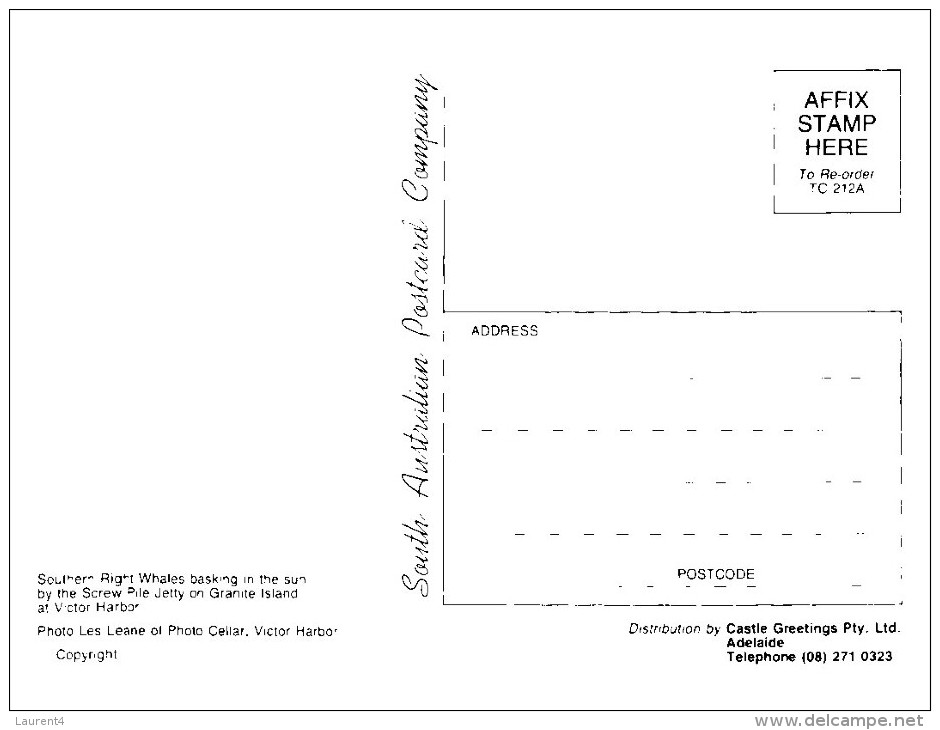 (350) Australia - SA - Victor Harbour & Whales - Victor Harbor