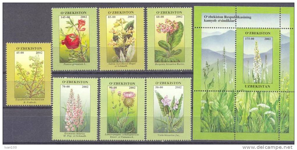 2002. Uzbekistan, Protected Plants, 7v + S/s,  Mint/** - Usbekistan