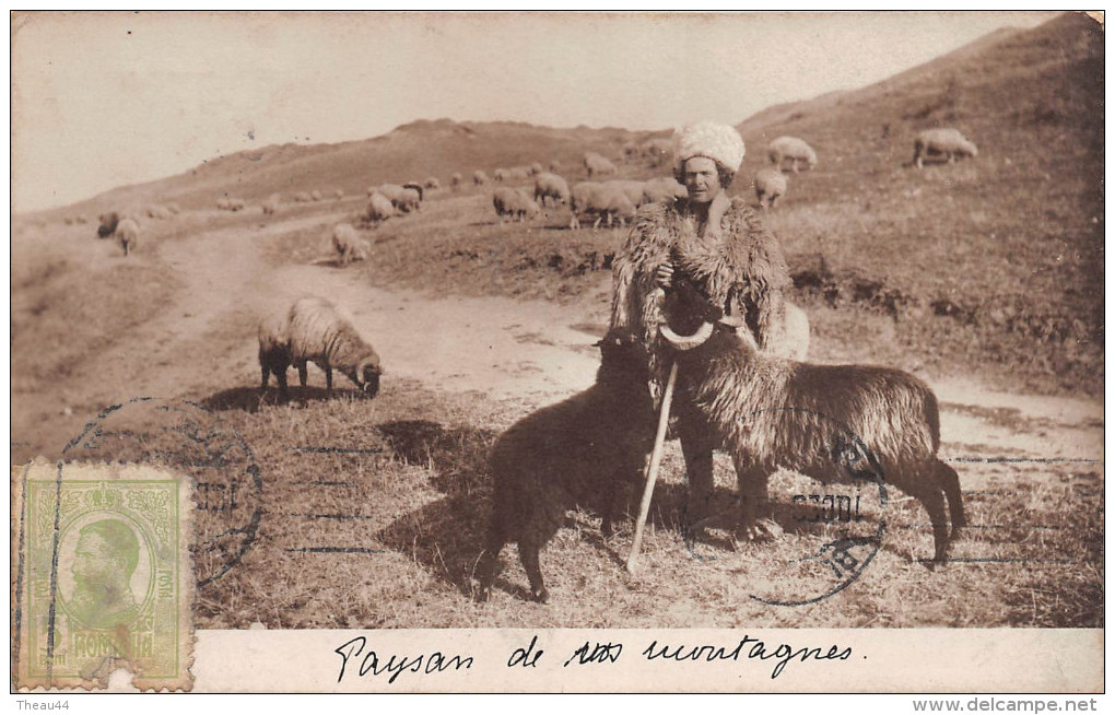 ¤¤  -  ROUMANIE   -  Carte Photo   -   Paysan Des Montagnes  -  Berger , Moutons  -  Oblitération  -  ¤¤ - Romania