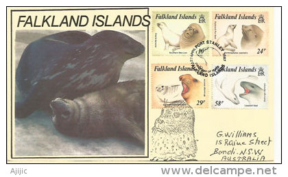 Falkland Islands .(Lion De Mer,élephant De Mer Austral,otarie à Crinière,etc)  Yv.nr 476/79 Lettre Adressée En Australie - Antarctische Fauna