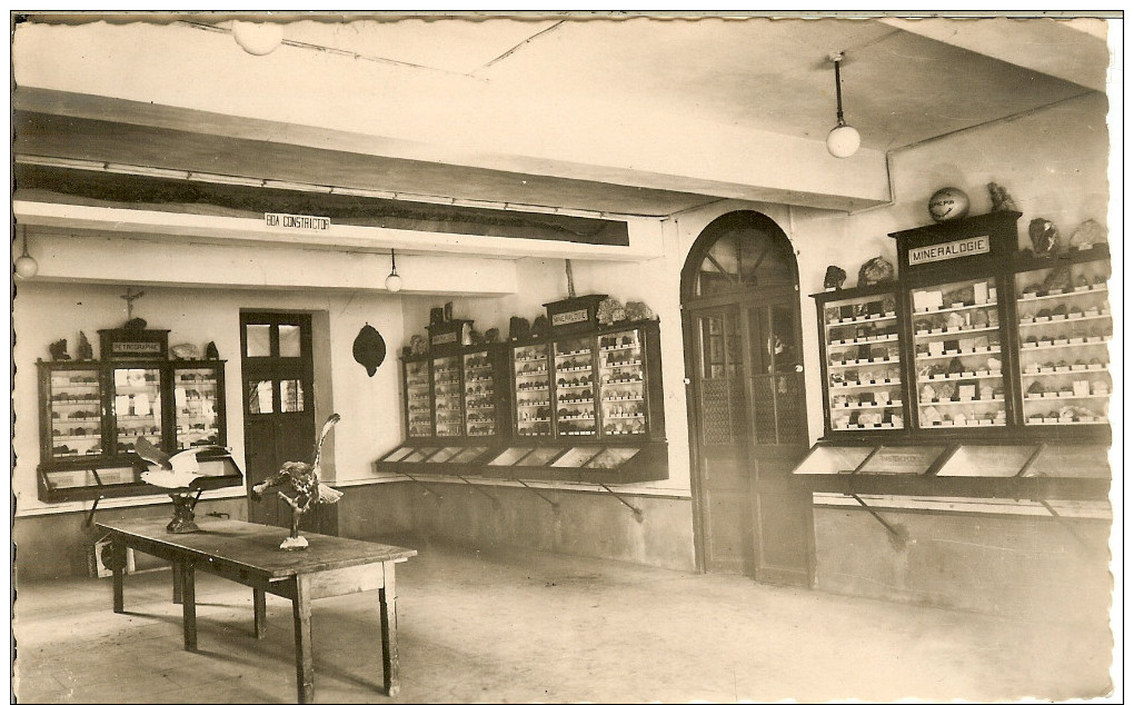 LIMOUX - INSTITUTION AGRICOLE St JOSEPH En 1954 - TRES BEL ENSEMBLE RARE De 10 CARTES POSTALES - - Limoux