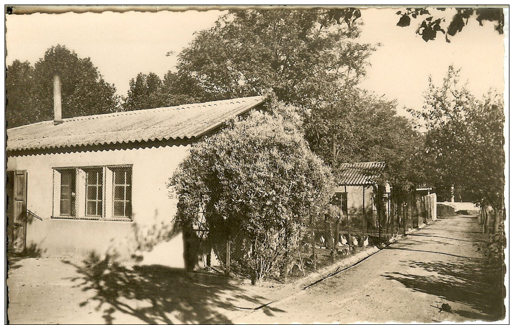 LIMOUX - INSTITUTION AGRICOLE St JOSEPH en 1954 - TRES BEL ENSEMBLE RARE de 10 CARTES POSTALES -