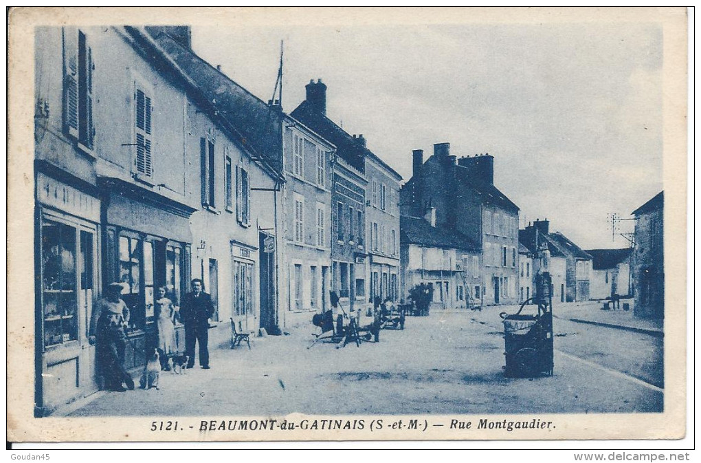 BEAUMONT-du-GATINAIS (S.-et-M.)) - Rue Montgaudier. - Other & Unclassified