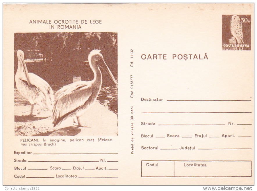 29A -  PELICANS,1977 POSTCARD STATIONERY UNUSED ROMANIA - Pélicans