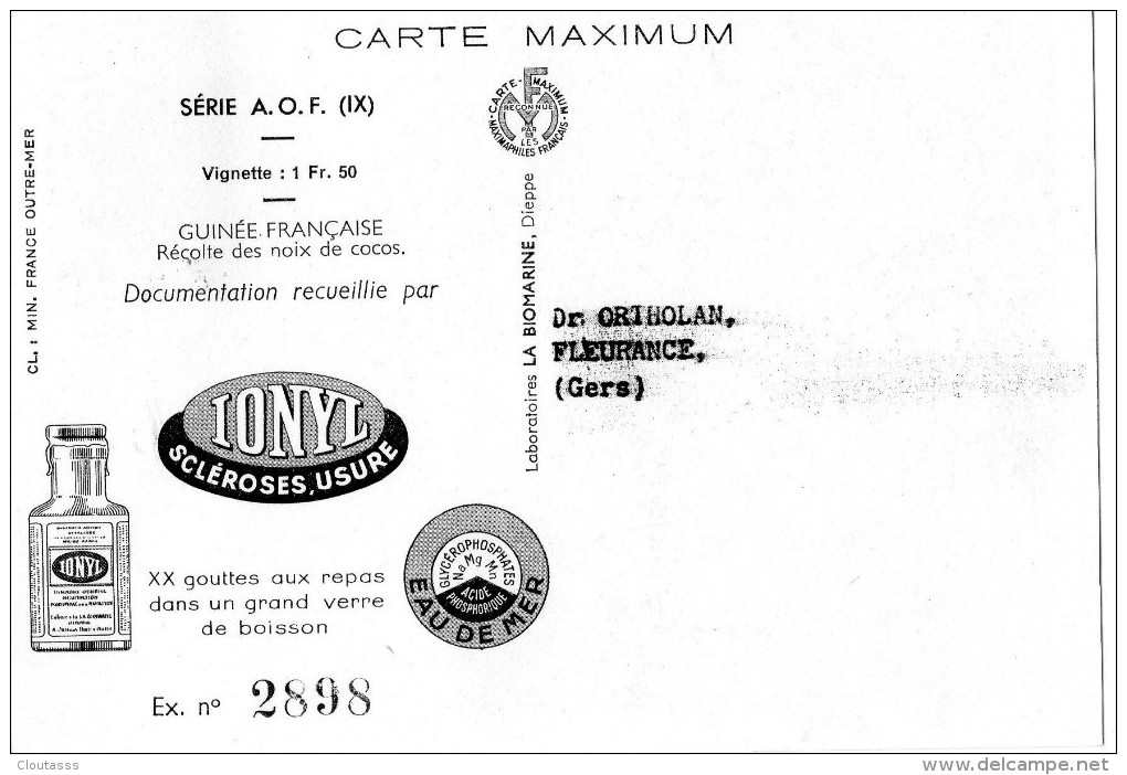 IONYL )  SERIE COMPLETE CARTES MAXIMUM -  PAYS   A O F   -NUMEROTEES - SUPERBES TIMBRES (philathelie) R/V