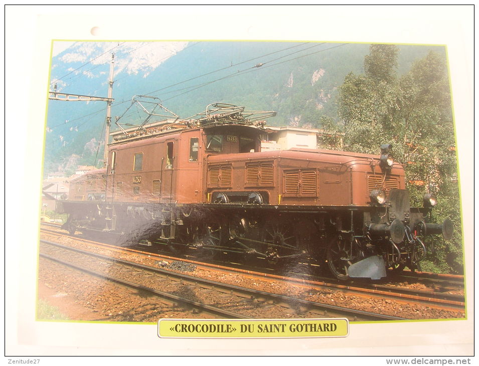 Fiche Technique Et Historique :  Locomotive "Crocodile" Du Saint Gothard - Suisse 1920 - Eisenbahnverkehr