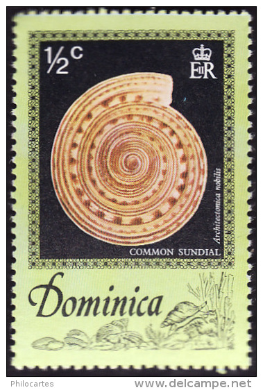 DOMINIQUE 1976 - YT 505 -  Coquillage -  Common Sundial - NEUF** - Dominica (...-1978)