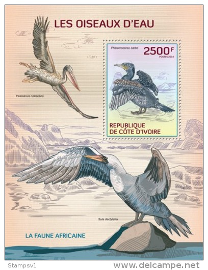 Ivory Coast. 2014 Water Birds. (122b) - Pelicans