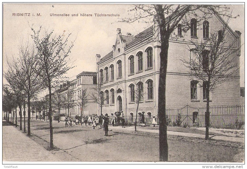 RIBNITZ Mecklenburg Ulmenallee Höhere Töchterschule Belebt 20.7.1910 TOP-Erhaltung - Ribnitz-Damgarten