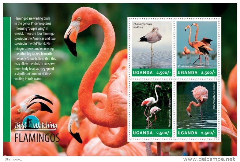 Uganda. 2014 Flamingos. (302a) - Flamants